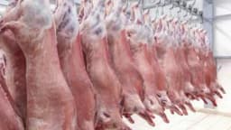 Stručnjaci iz Sarajeva i Hrvatske u projektu kreiranja inovatinih proizvoda od jagnjetine