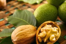 Sušenje plodova oraha!