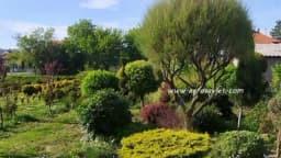 SEPTEMBARSKI BAŠTENSKI RADOVI