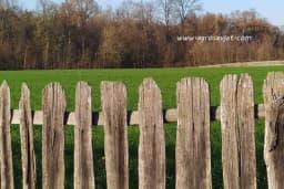 Zašto je život na selu pravo blago