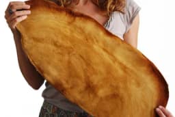 Proizvedena veganska koža od gljiva