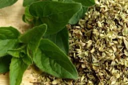 Uz šolju čaja od origana možete izliječiti i ublažiti mnoge bolesti