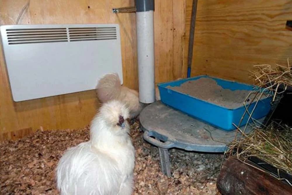 Kako zagrijati kokošinjac električnim konvektorom?