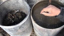 Golubov izmet kao đubrivo - Najdjelotvorniji za biljke, kako se primjenjuje?