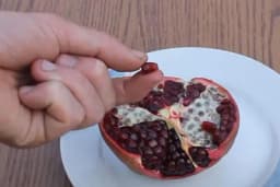 Kako uzgojiti nar iz sjemena /VIDEO/