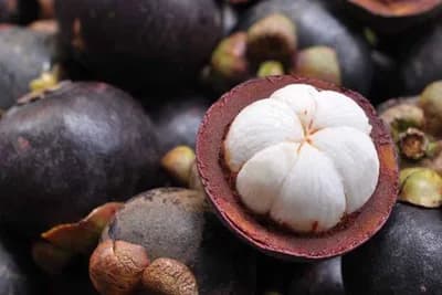 Da li ste čuli za mangostin voće