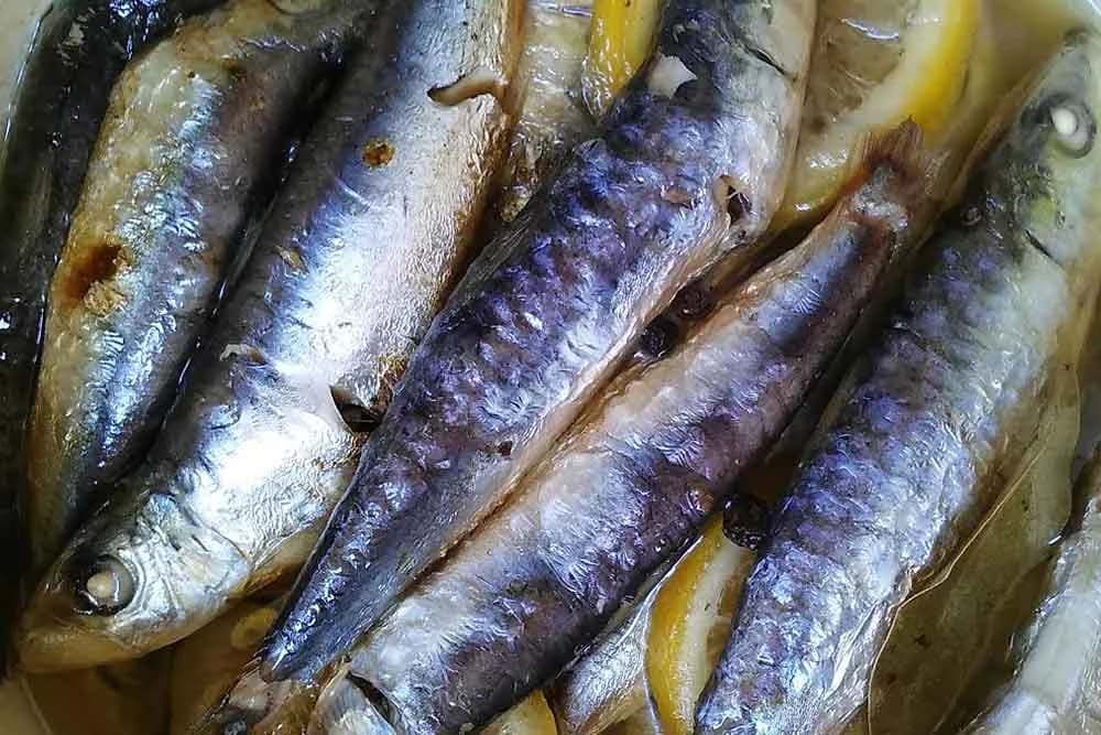 Napravite domaću sardinu punu vitamina