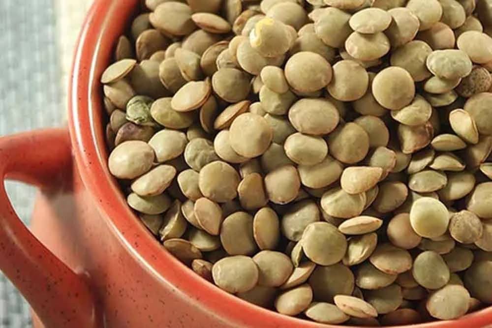 Sočivo - Prava riznica zdravlja, ali ove osobe ne smiju da ga konzumiraju!