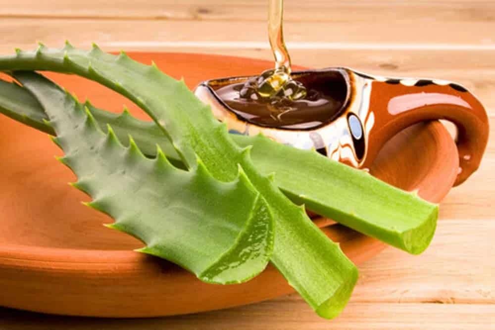 Moćni lijek od aloje i meda za jačanje organizma