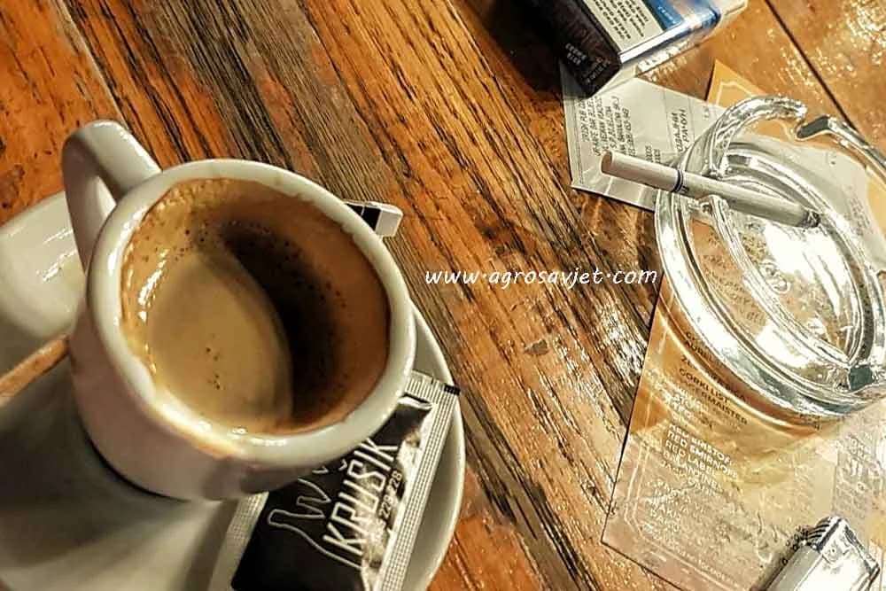 Kafa