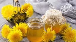 MELEM ZA JETRU I KRV: Džem od maslačka ima nevjerovatnu moć