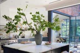 Grane drveta kao dekoracija