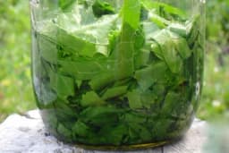 Čudesni MELEM Irine Volivikove - Bol u ZGLOBOVIMA kao rukom odnesen