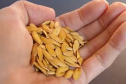 Ovim metodama provjerite klijavost sjemena povrća