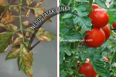 Cink - Simptomi nedostatka i viška ovog elementa