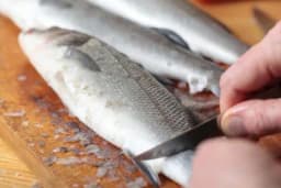Svajeti za jednostavno i lako čišćenje i filetiranje ribe! /FOTO/