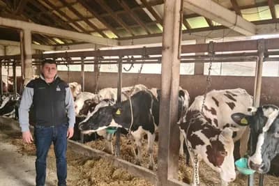 MLJEKARSTVO SE ISPLATI Proizvodnja mlijeka u Semberiji nije ugrožena