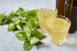 SOK OD KOPRIVE - Pomoć kod ANEMIJE i mnogih drugih tegoba /RECEPT/