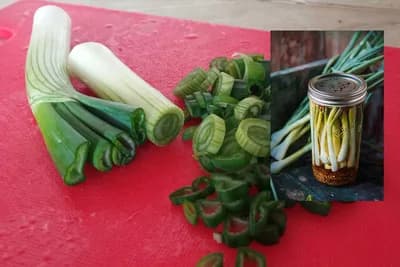 Provjeren recept - Ukiseljeni mladi luk
