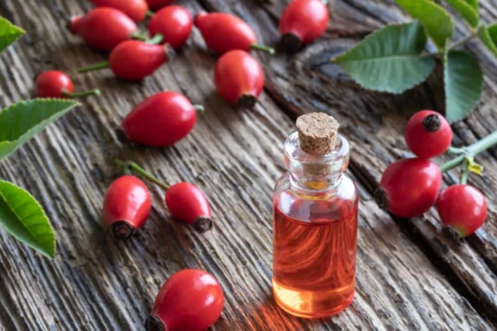 ULJE PLODA DIVLJE RUŽE