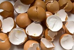 NE BACAJTE LJUSKE OD JAJA - Napravite sjajno đubrivo za vaše biljke!