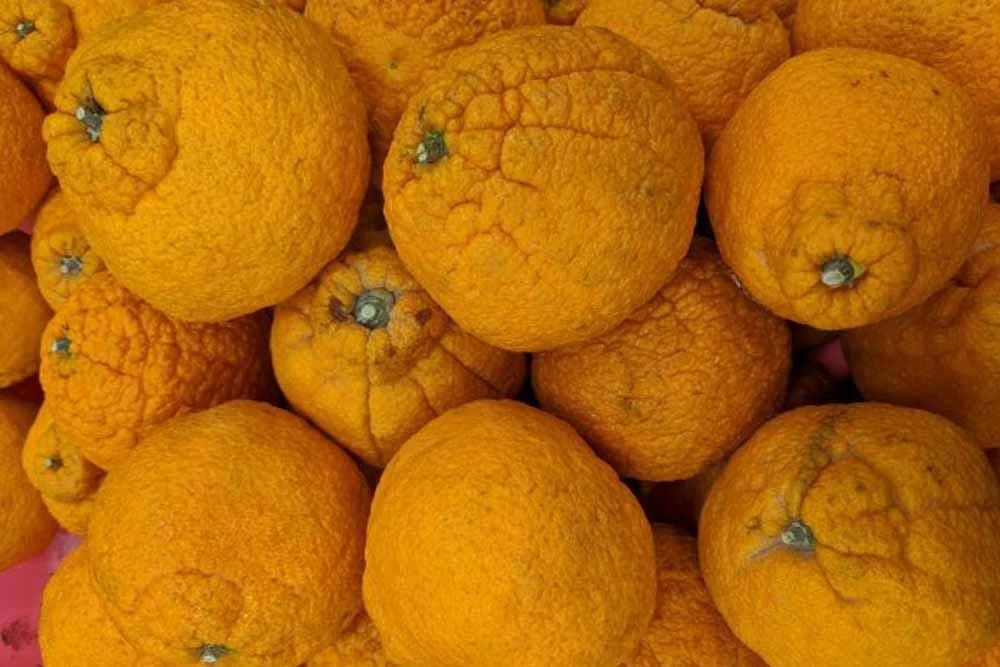 "Ovo će se prodavati kao ludo"