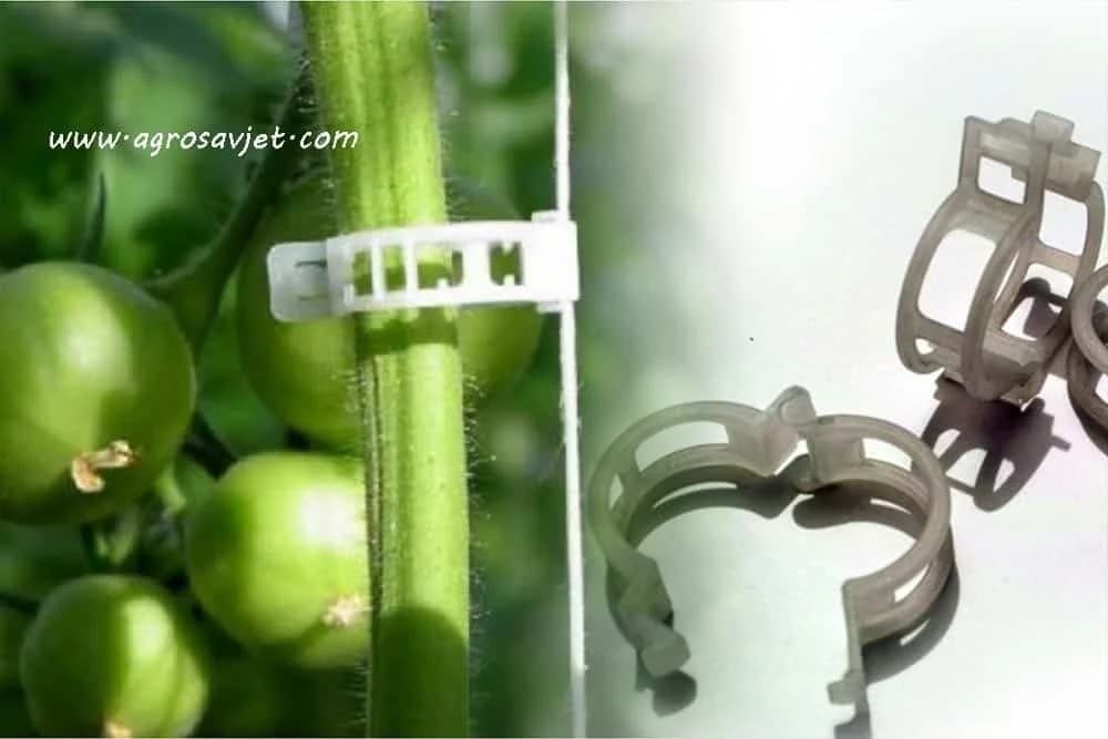 Pomoćni elementi za povrće visokog rasta!