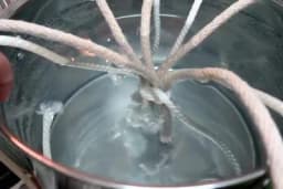 Zalivanje biljaka za vrijeme odmora - Potreban vam je samo KANAP!