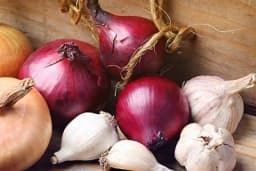 Bioinsekticid od lukova - Zaštitite svoje biljke na potpuno prirodan način