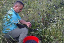 Mustafi Sefiću invaliditet nije prepreka da bude među najuspješnijim poljoprivrednicima