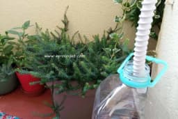 Iskoristite destilovanu vodu iz klime za zalivanje biljaka