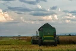 Bijeljinski Žitopromet ponovo otvorio silose