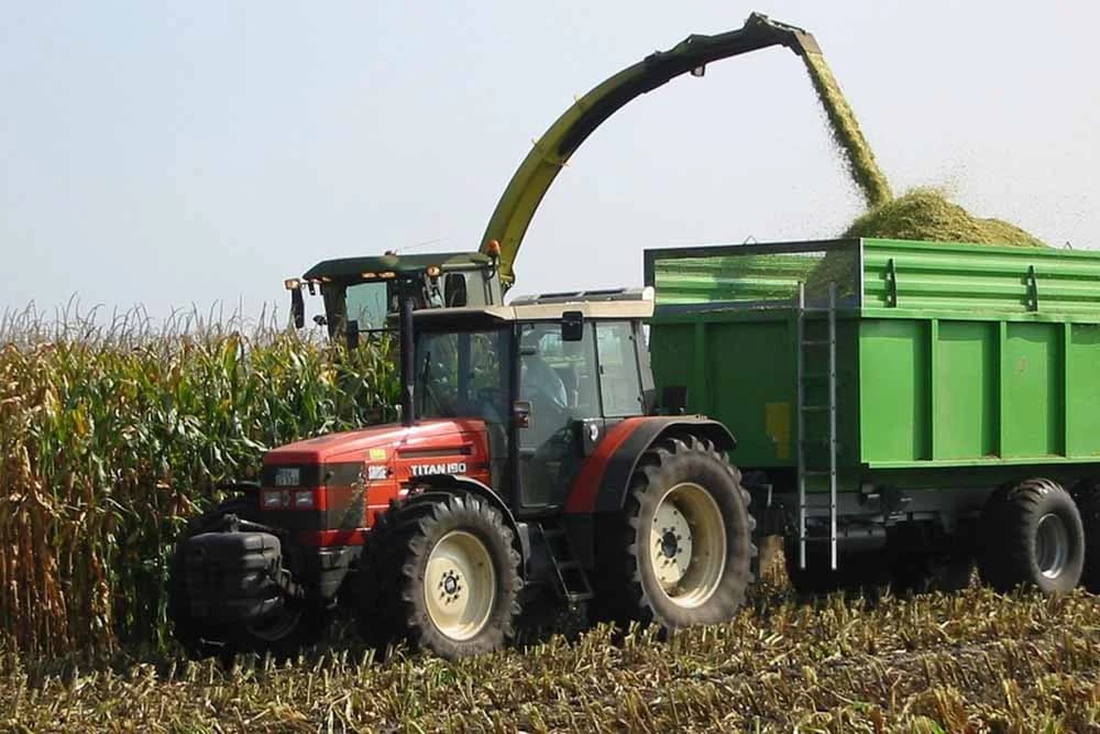 Pet biljaka koje su pogodne za pripremu silaže