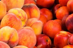 Kako da omekšate tvrde breskve, kajsije i nektarine?