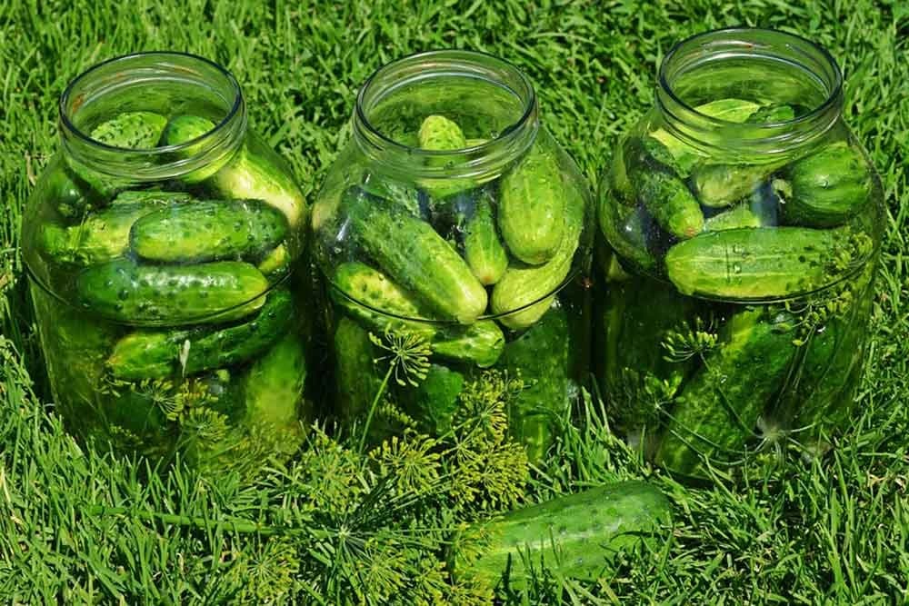 recept za kisele krastavce