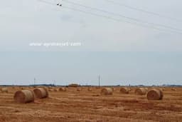 Srpskim poljoprivrednicima u FBiH više od 75.000 evra