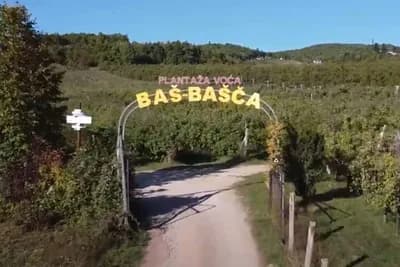 BAŠ BAŠČA organska plantaža voća na 100 dunuma zemlje - JEDINSTVENO U BIH
