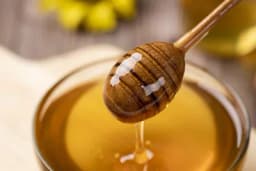 Da li vegani jedu med?