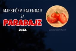Sjetva i sadnja paradajza po mjesečevom kalendaru 2022.