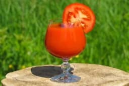 Kome se ne preporučuje sok od paradajza?