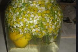 Opuštajući eliksir - Napravite sami piće koje će vas osloboditi stresa