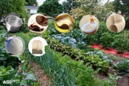 SEDAM stvari iz kuće koje možete koristiti u bašti za bolje prinose