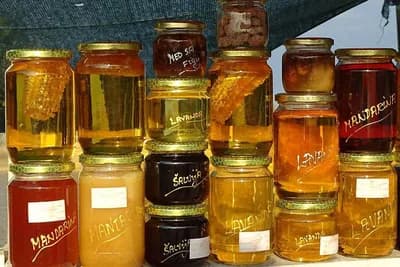 Bagremov je odličan za mršavljenje, livadski za srce - Koji med je najljekovitiji?