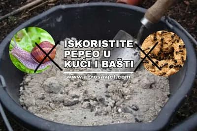 Više nećete bacati pepeo iz šporeta: Spas je u kući i za vaše biljke