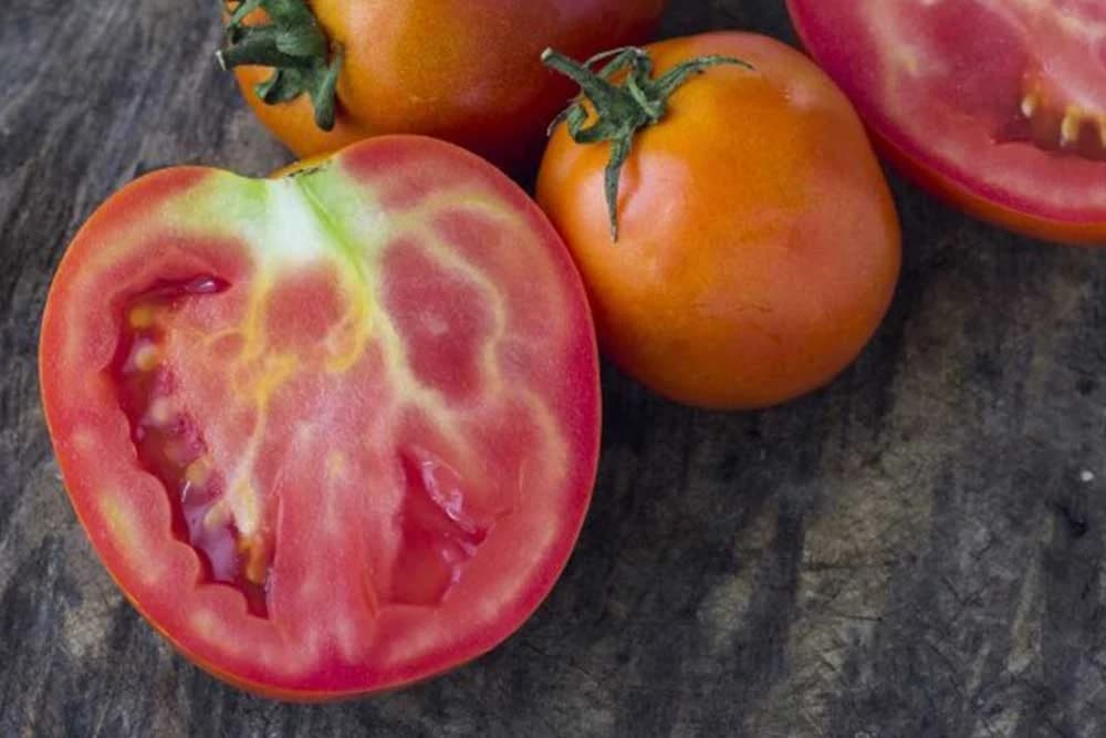 3 razloga zašto je SRŽ PARADAJZA BIJELA, TVRDA I NEUKUSNA!