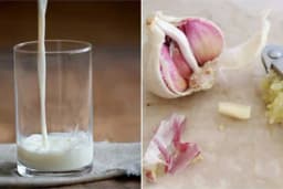 Mlijeko sa bijelim lukom - Priprema i prednosti