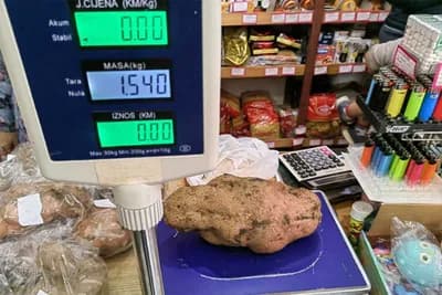 Najteži krompir od 1.540 grama uzgojio Radovan Tolimir