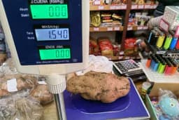 Najteži krompir od 1.540 grama uzgojio Radovan Tolimir