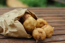 Kako čuvati krompir da ne truli i da ne proklija brzo?