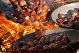 Omiljena jesenja grickalica je snažni antioksidans - Smanjuje holesterol, idealan za dijetu